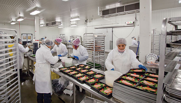 food processing